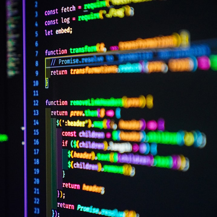 System development service by Appnicorn