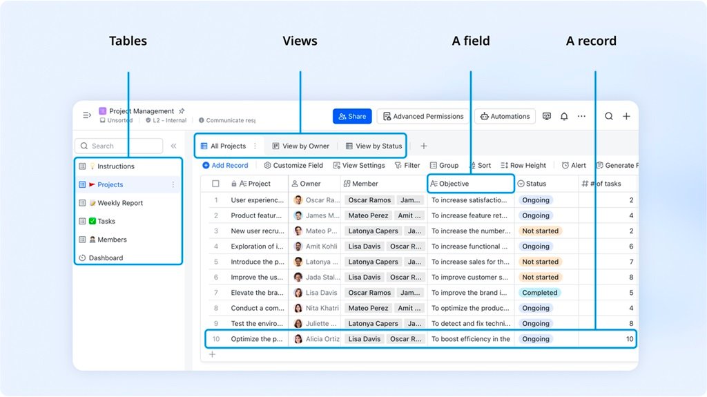 Base data management feature of Lark