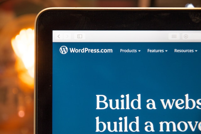 WordPress dominates website building or web design in the world.