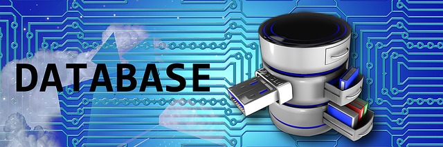 WordPress database