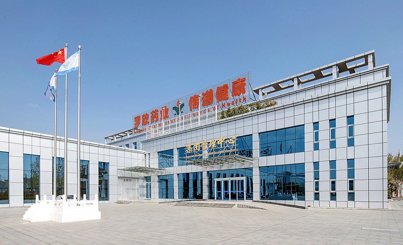 Luoxin is one of the Chinese Companies that uses DingTalk to enhance workplace productivity.